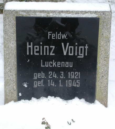 Heinz Voigt